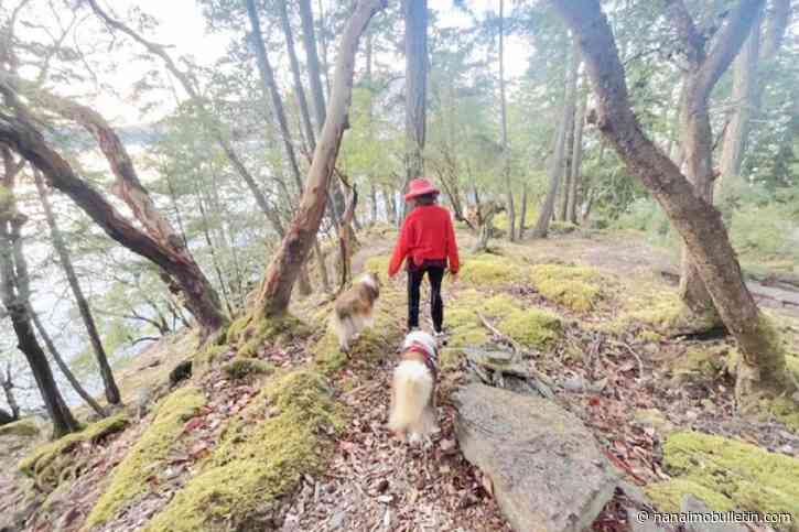 Guest column: I charged a bear