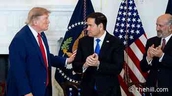 Trump officially makes Rubio national security adviser