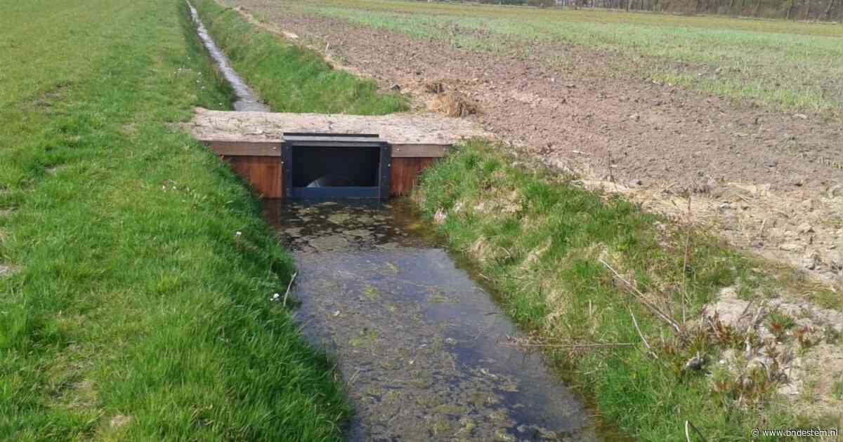 Essen wil uit landbouwvereniging ’t Pleckske stappen: geld voortaan naar lokale projecten