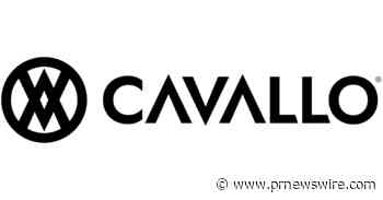 Cavallo Enhances Profit Max Platform, Arming Sales Teams with Advanced Customer Intelligence and 92% Accurate Customer Retention Insights