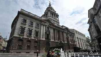 Swansea musician cleared of raping nonbinary date
