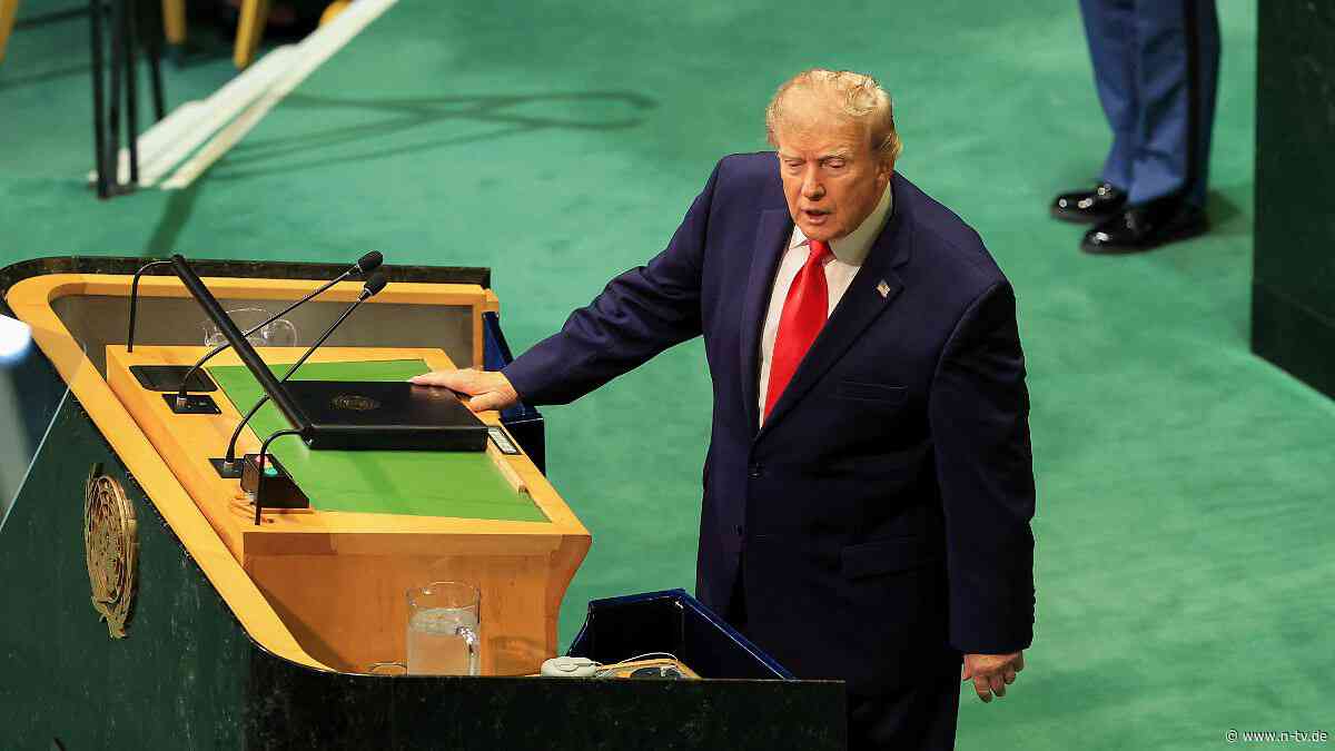 "Mal sehen, ob ich Macht habe": Trump zwingt die Vereinten Nationen auf einen Höllenritt