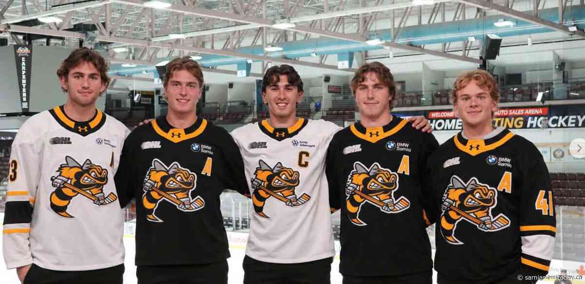 Sting announce leadership group for 2026-27 season