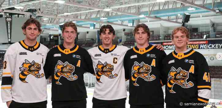 Sting announce leadership group for 2026-27 season