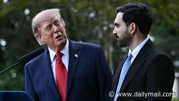 Trump's six-word little white lie to Zohran Mamdani reveals surprising affection for his old foe