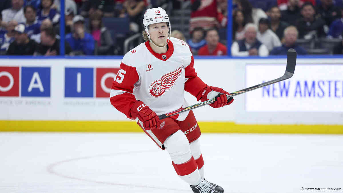 Detroit Red Wings Place Six on Waivers
