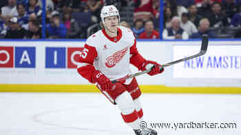 Detroit Red Wings Place Six on Waivers