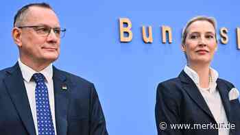 Krise in der Union: Junge CDU attackiert Merz-Kurs – AfD bereitet sich intern auf Minderheitsregierung vor