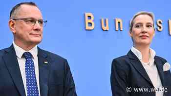 Krise in der Union: Junge CDU attackiert Merz-Kurs – AfD bereitet sich intern auf Minderheitsregierung vor