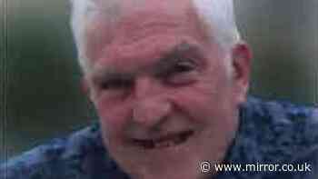 'Much-loved’ great-grandad stabbed to death by stranger as he sat in front garden