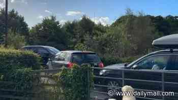 Google Maps blunder causes a traffic jam - in a single-track country lane