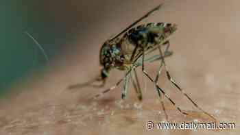 California county records most cases of West Nile virus in nearly a decade... as mosquito-borne diseases spread across US
