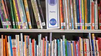 Boy Scouts bring new Tiny Library to Moore