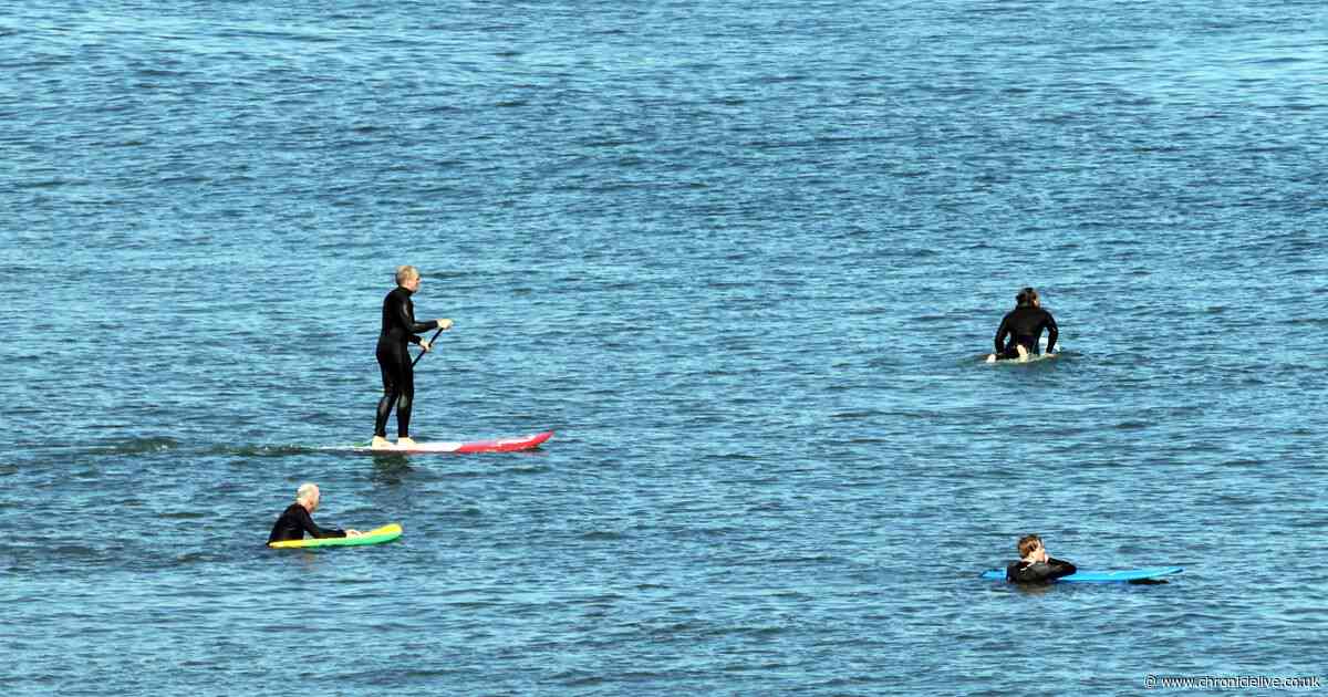 28 pictures show Tyneside sunseekers enjoying Indian summer day as temperatures hit 24C
