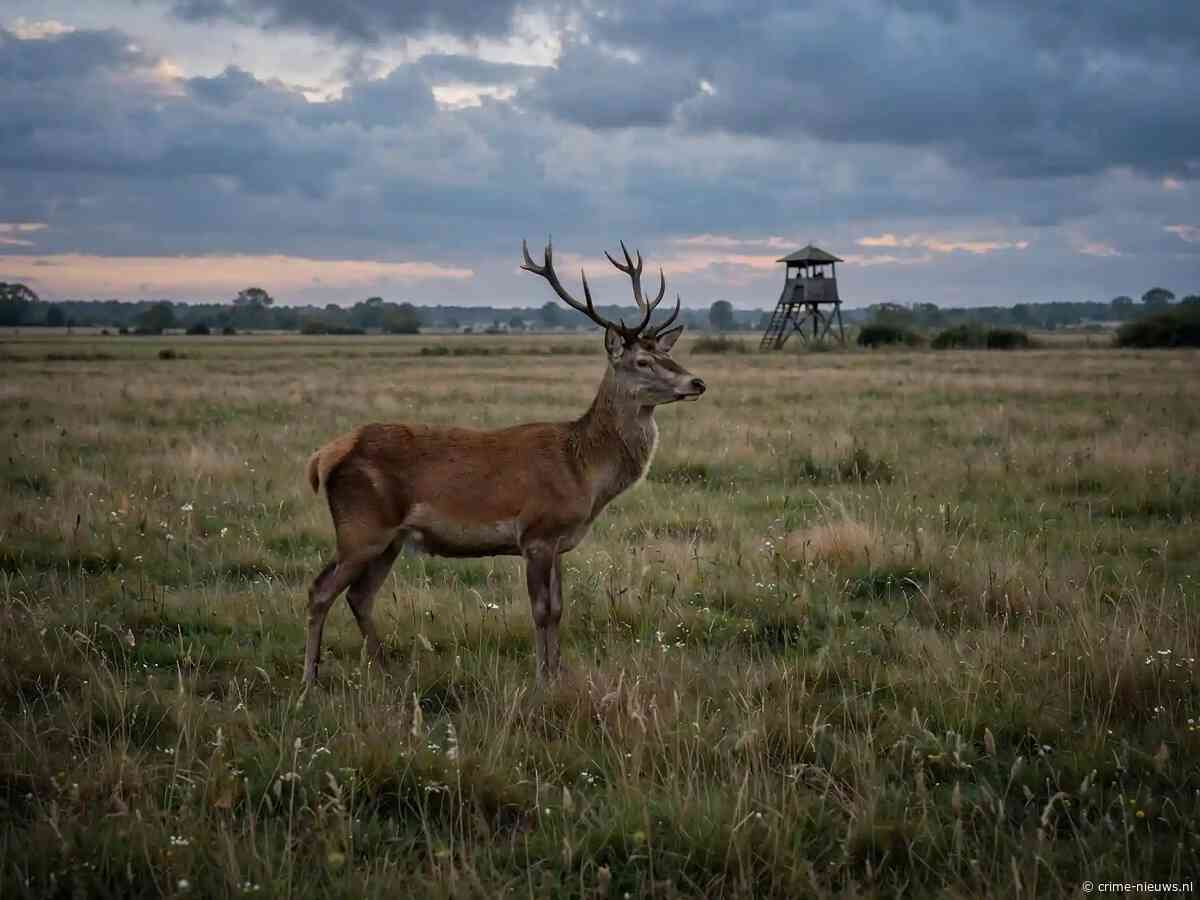 Jager van 74 schiet vrouw dood die hij aanziet voor hert terwijl ze met gezin door veld loopt