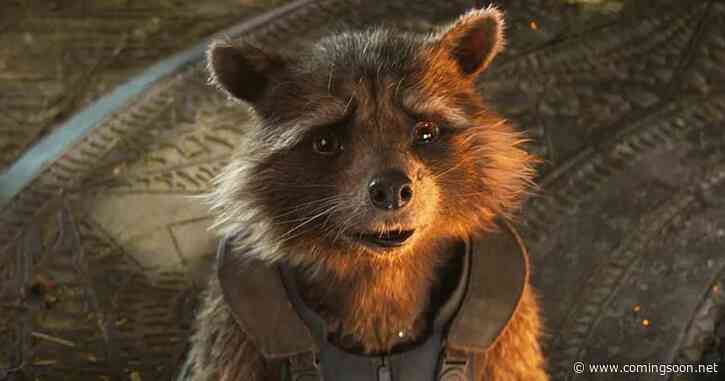 GOTG’s Sean Gunn Has A Surprising Update On MCU His Future As Rocket Raccoon