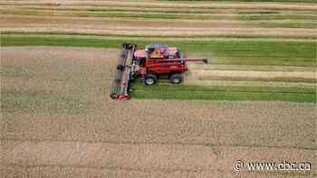 Rising diesel costs 'pretty devastating,' Ontario farmers say