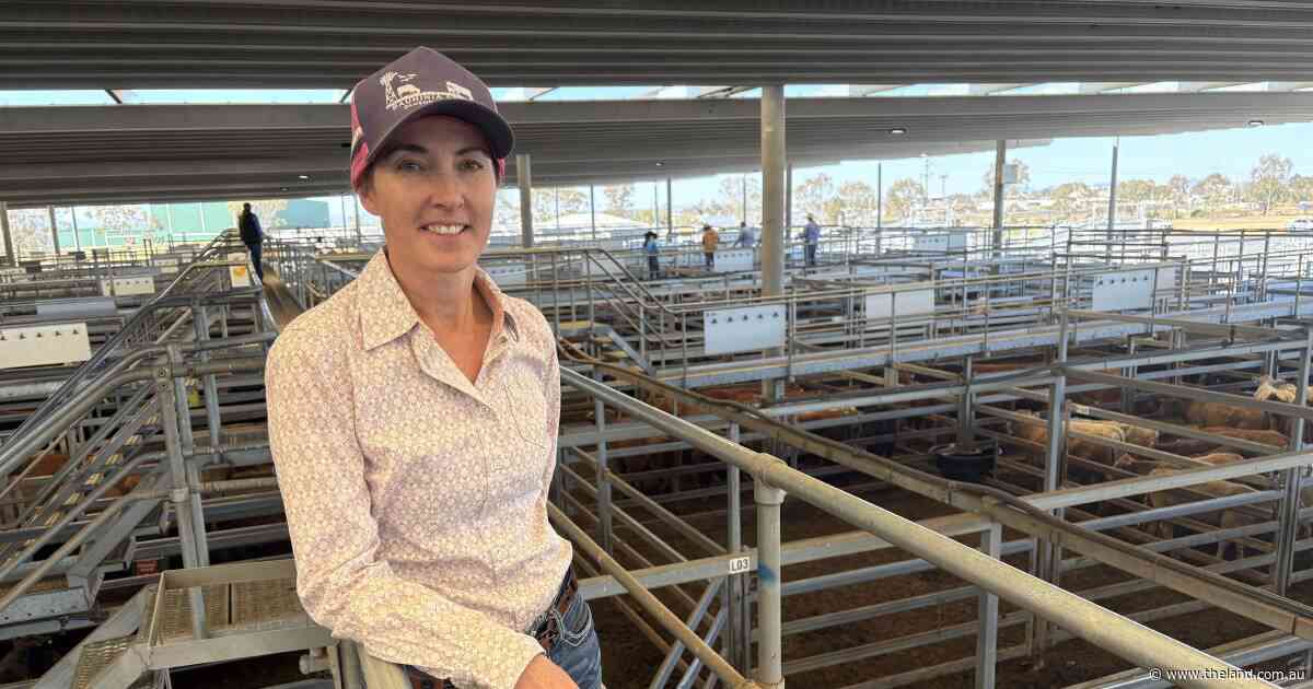 Seasonal feed and kill space: behind the factors shaping cattle prices