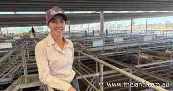Seasonal feed and kill space: behind the factors shaping cattle prices