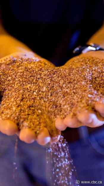Fact check: Could Trump replace Canada's potash with Belarus?