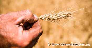 Ukraine, Iran wars directly affecting grain margins as diesel costs spike