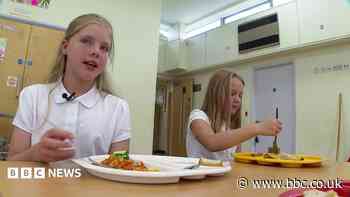 The school where pupils eat 'kilos of olives'