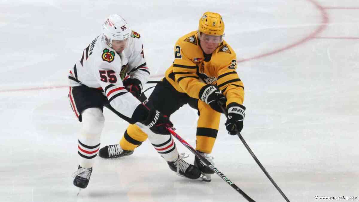Positives & Negatives From the Blackhawks’ 4-3 Overtime Preseason Win Over Wild