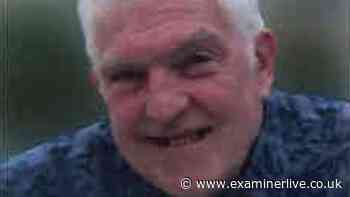 Great-grandfather, 82, fatally stabbed by neighbour in front garden