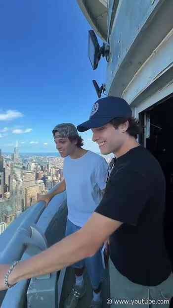 What did the Sturniolos do in NYC?
