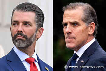 GOP senator calls for subpoenaing Donald Trump Jr. and Hunter Biden over their business dealings