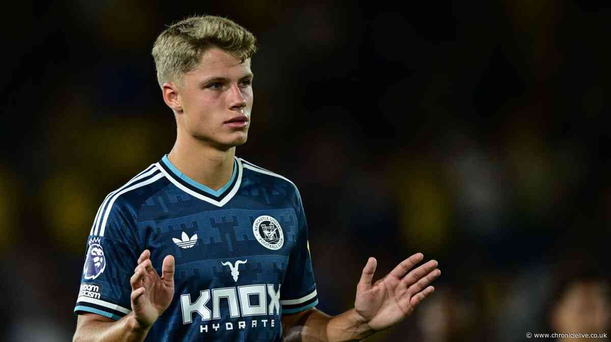 Sean Steur makes honest 'next level' admission after Newcastle United transfer