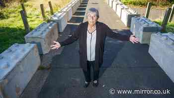 Gran, 81, hits out at Reform's Derbyshire County Council as 'Lego-style' blocks appear outside home