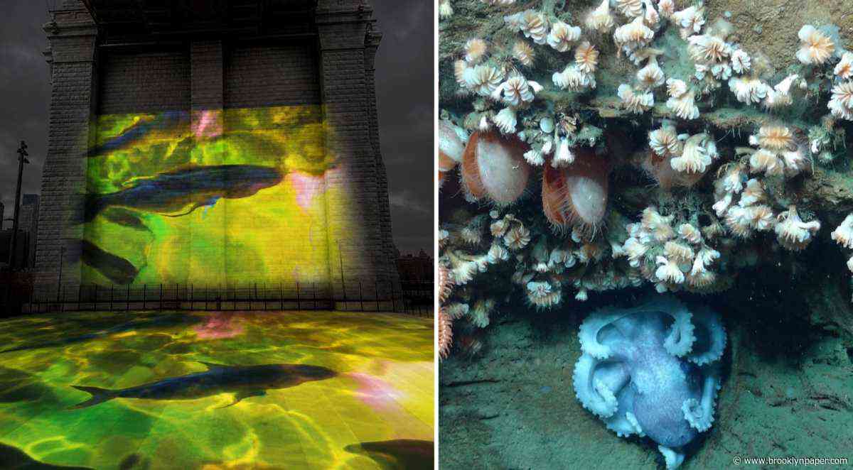 Immersive installation ‘Aqua Cosmos: The Hudson Canyon’ brings marine life to the Brooklyn Bridge