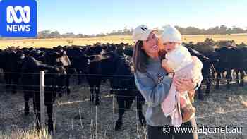 Cautious farmers embrace renewable energy to boost income streams