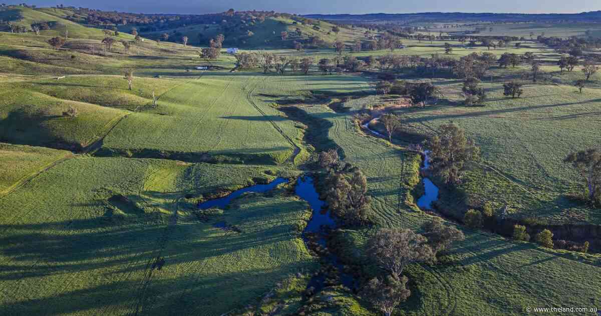 Highly productive and extensively improved grazing operation | Video
