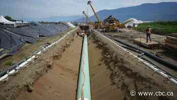 Feds open up Trans Mountain equity stake to Indigenous groups on pipeline’s path