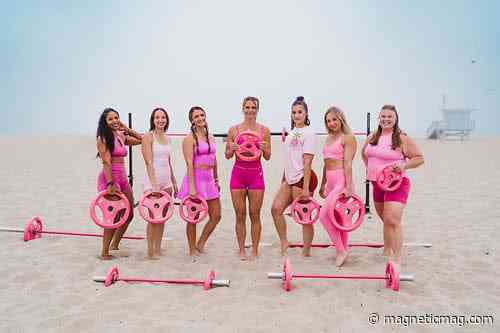 RitFit Pink Series Makes Fitness Part of the Setup
