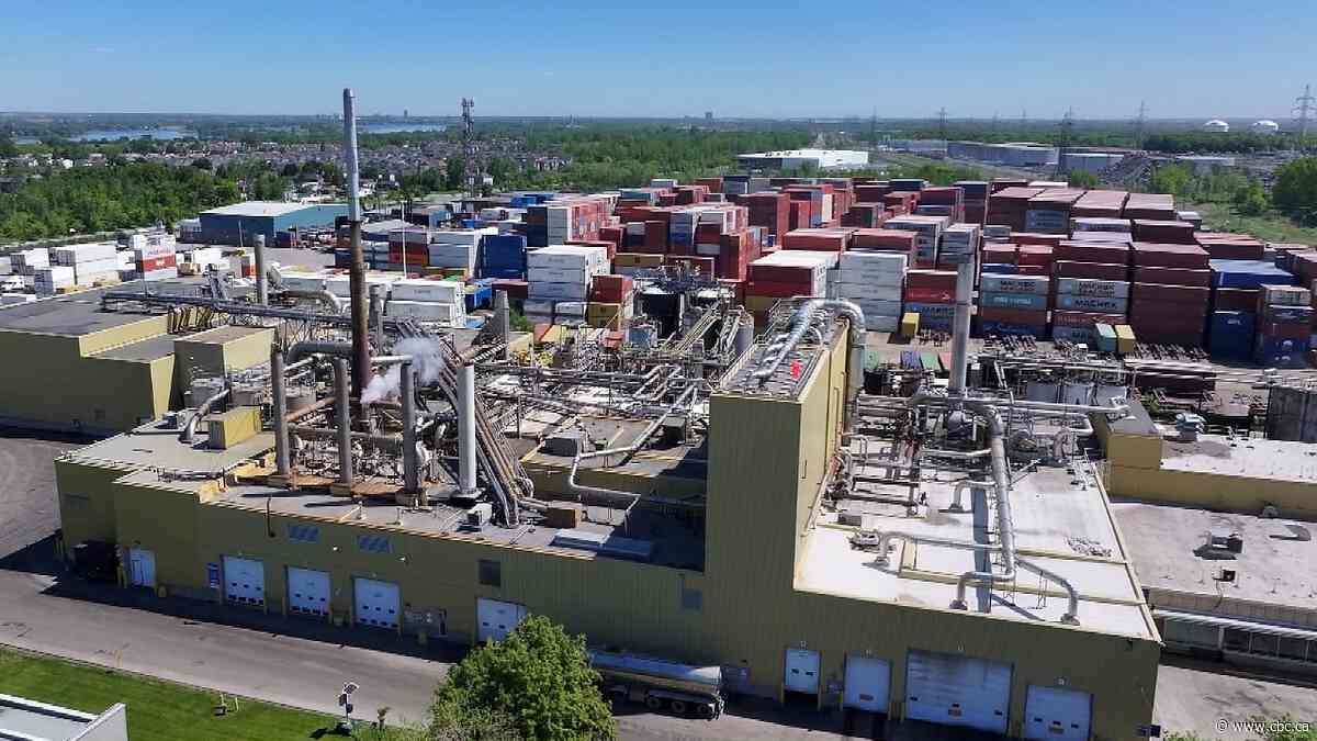 Montreal asks Quebec to intervene over meat rendering plant’s odour issues