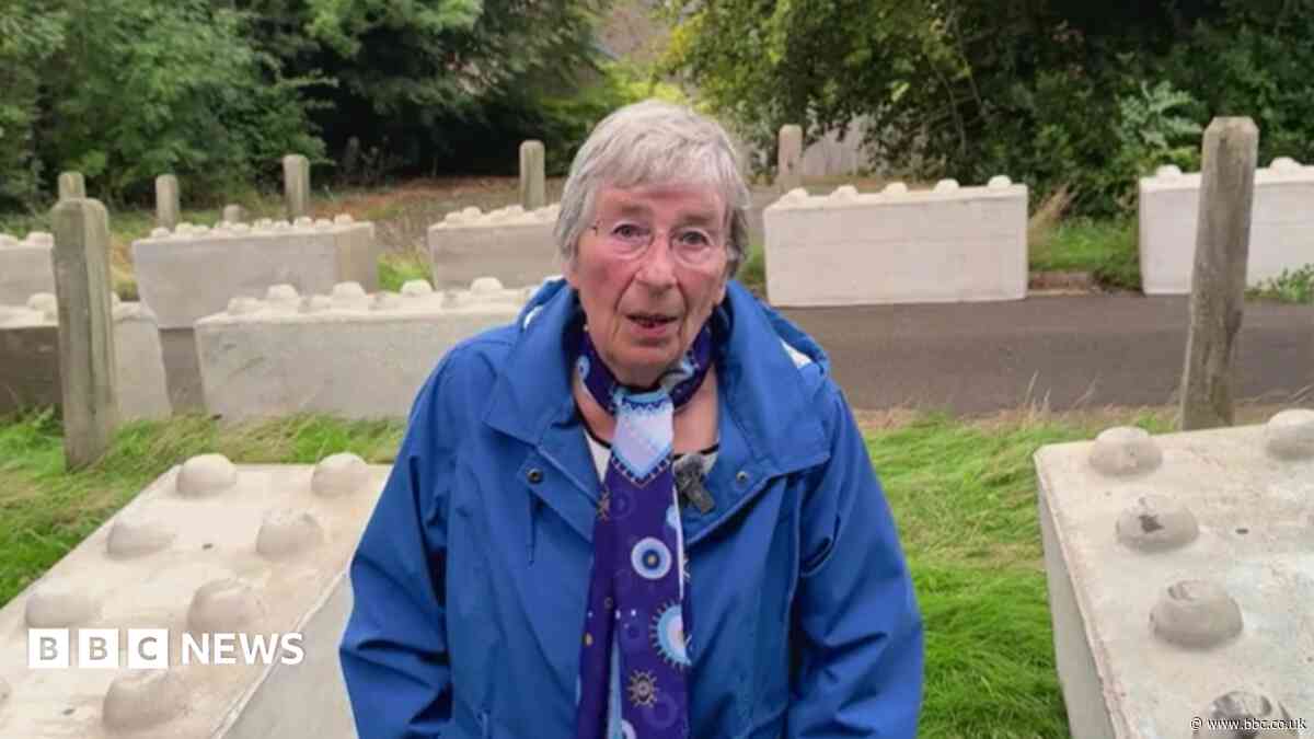 'Lego-type blocks' anger woman who was fenced in