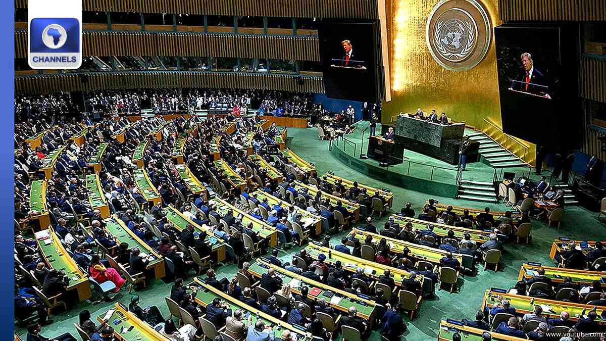 81st UNGA: African Countries Demand Permanent Seat On UNSC + More | Network Africa