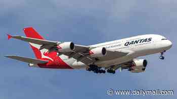 Qantas passenger allegedly tried to open plane door mid-flight after abusing traveller and cabin crew - before armed cops dragged him off at Perth Airport