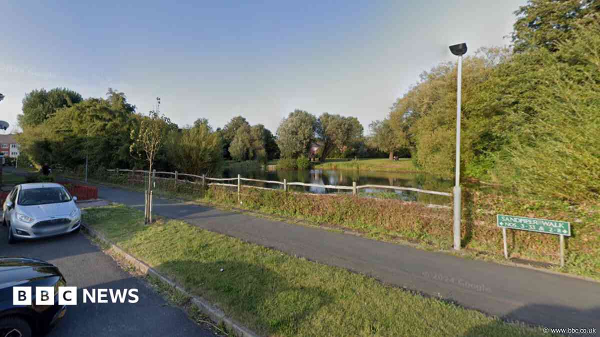 Woman arrested as man seriously hurt in dog attack