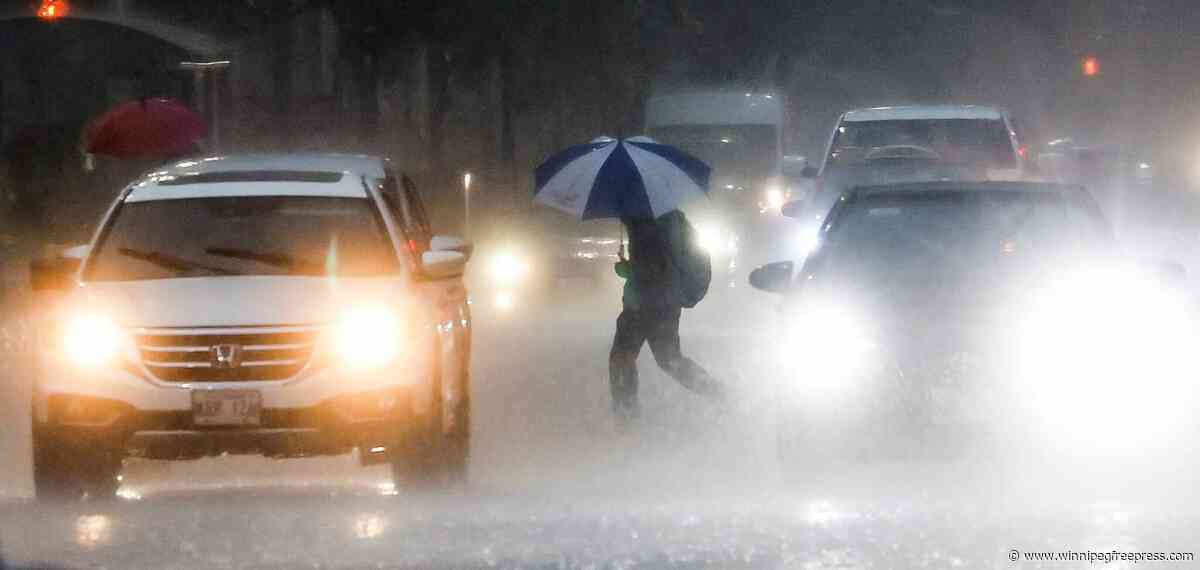 ‘Wild, wild summer’: storms produce all-time number of damage claims at MPI