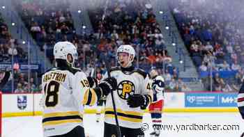 Bruins Prospect Dans Locmelis Not a Finished Product