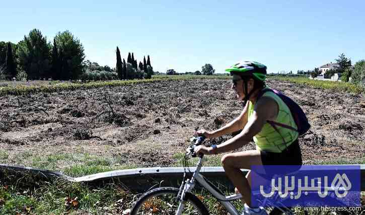 الجفاف يبلغ مستويات تاريخية بفرنسا