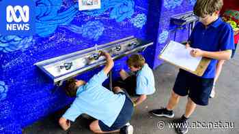 Schools trial AI leak detection technology to save water