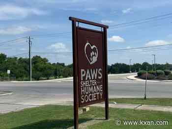 PAWS Shelter, Austin Pets Alive! merge to expand animal lifesaving in Hays County