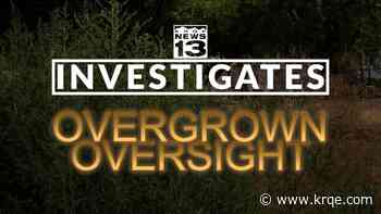 Overgrown Oversight: Neighbors say state-owned property is being neglected
