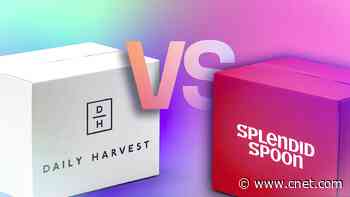 Splendid Spoon vs. Daily Harvest: Which Vegan Meal Service Wins?