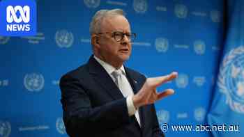 Prime Minister defends social media reforms amid US backlash